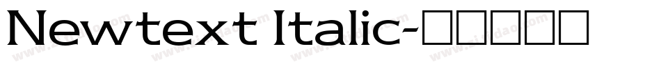 Newtext Italic字体转换